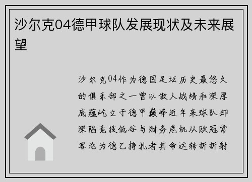 沙尔克04德甲球队发展现状及未来展望